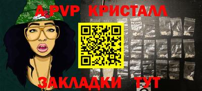 амф Донской
