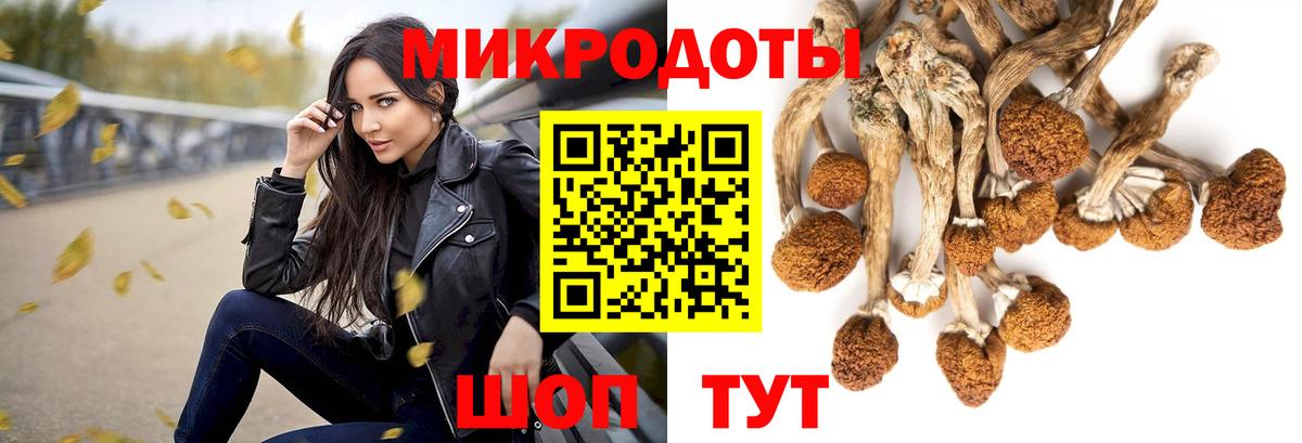 Псилоцибиновые грибы Psilocybe  Вход с VPN  Галлюциногенные грибы прущие грибы  Ковров 